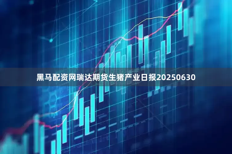 黑马配资网瑞达期货生猪产业日报20250630