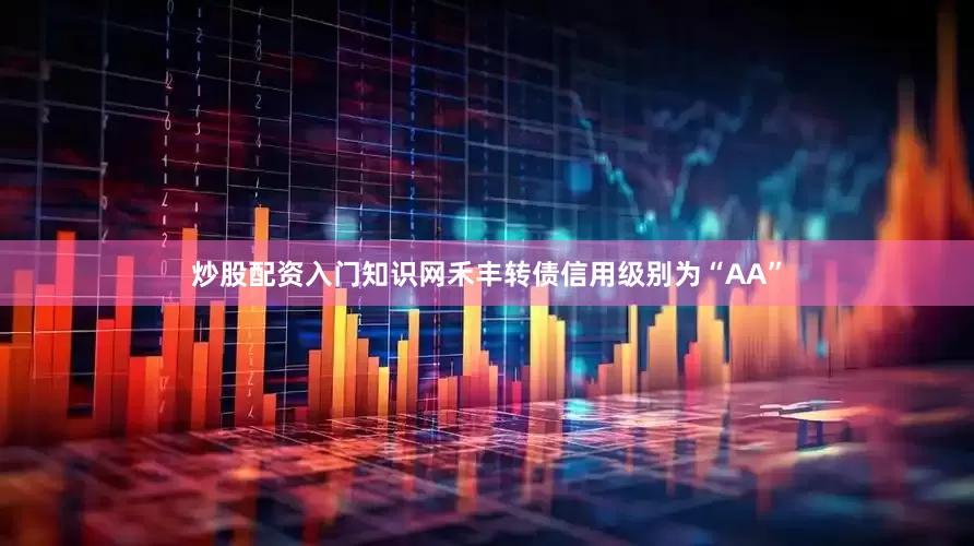 炒股配资入门知识网禾丰转债信用级别为“AA”